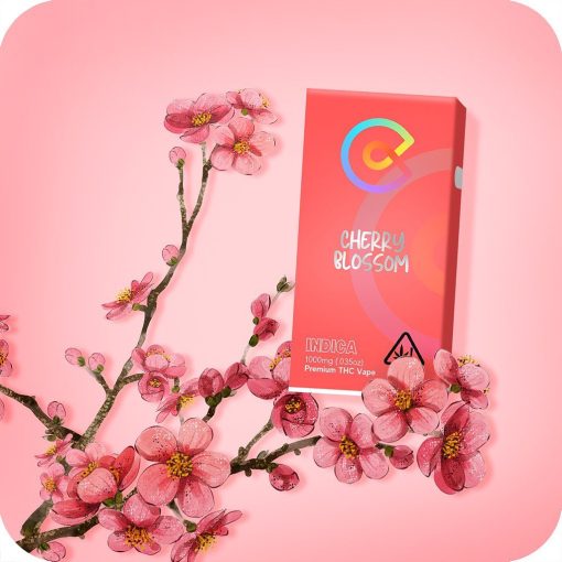 Cherry Blossom cake